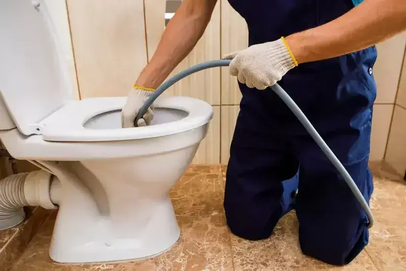 Toilet and tap repair in Kew